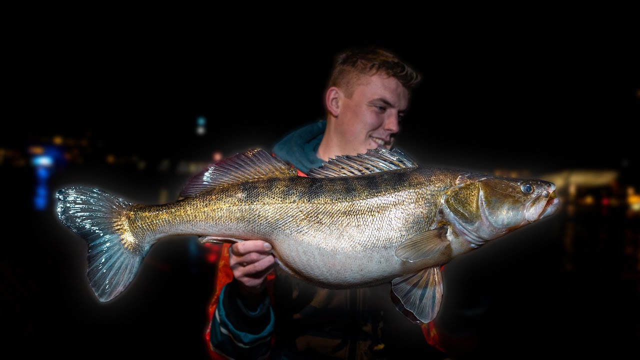 MET DEZE TIPS VANG JIJ MEER SNOEKBAARS vanaf de kant