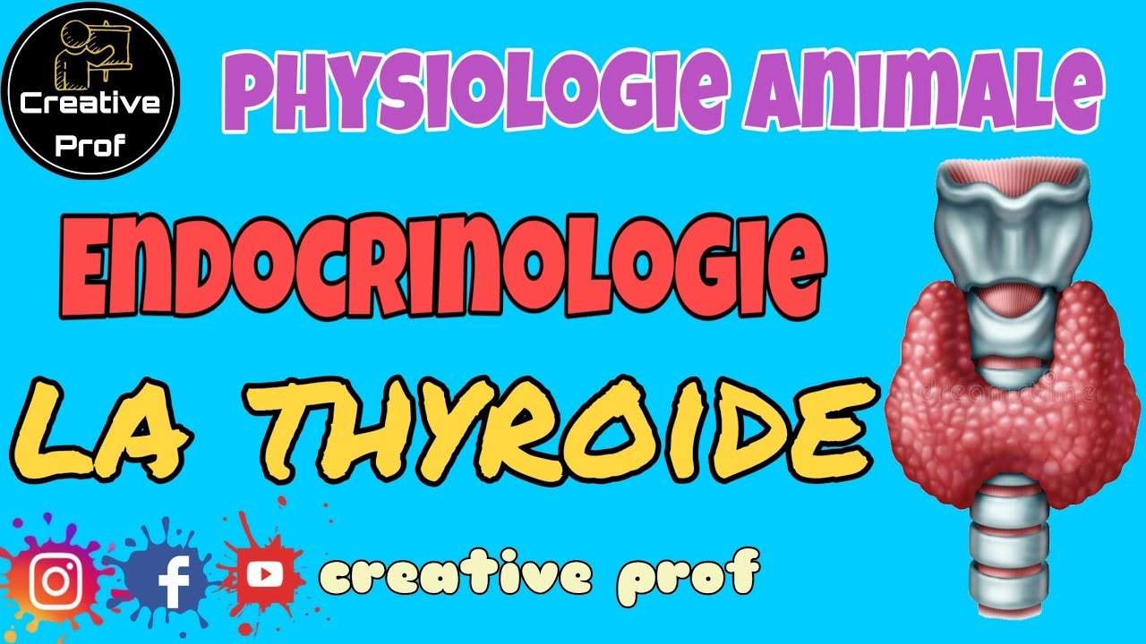 Physiologie Animale - Endocrinologie: la thyroïde (darija)