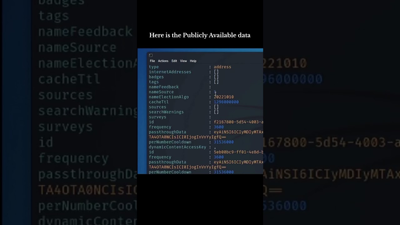 find information from phone number using kali Linux