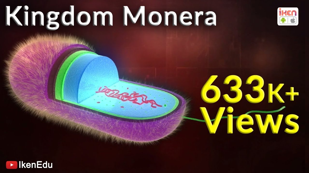 Kingdom Monera | Whittaker's Five Kingdom Classification System | iKen | iKen Edu | iKen App