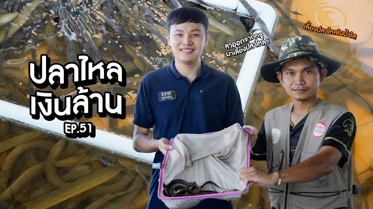 ปลาไหลเงินล้าน | นับหนึ่งถึงล้าน EP.51 | สำนักข่าววันนิวส์