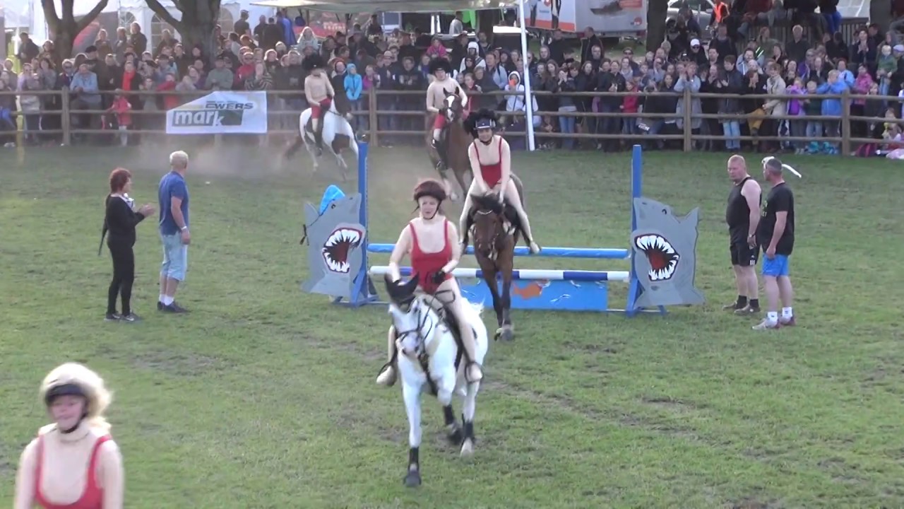 Roskilde Dyrskue show 2015 Baywatch NF & DSP