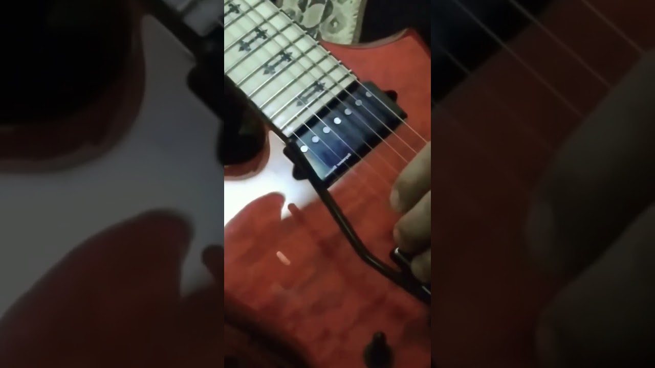 🎸🎻Schecter Cygnus JLX-7 FR. "SOUND SOULS"