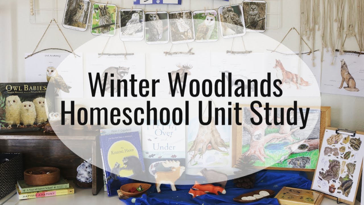 Homeschool Winter Unit Study l Winter Woodlands Unit Study