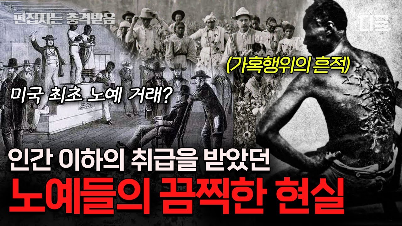 [#벌거벗은세계사] (2시간) 노예제 때문에 남북전쟁이 시작됐다? 풋내기 시골 변호사 링컨이 전국구 스타로 떠오르게 된 계기⚖️