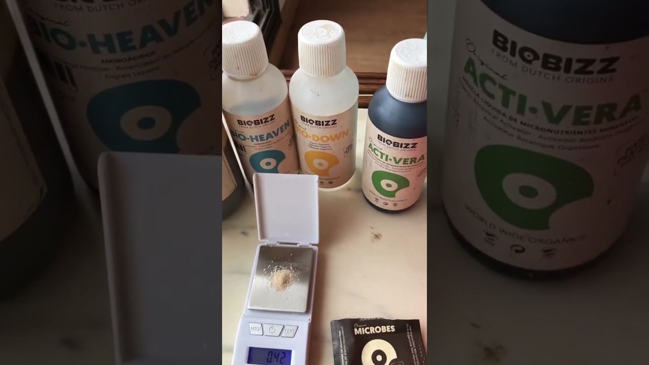 Внесение biobizz microbes и стимов , подготовка к пересадке растений марихуаны #biobizz #microbes