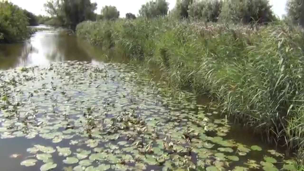 LES ÉTANGS DU ROMELAERE (Pas de Calais - France)