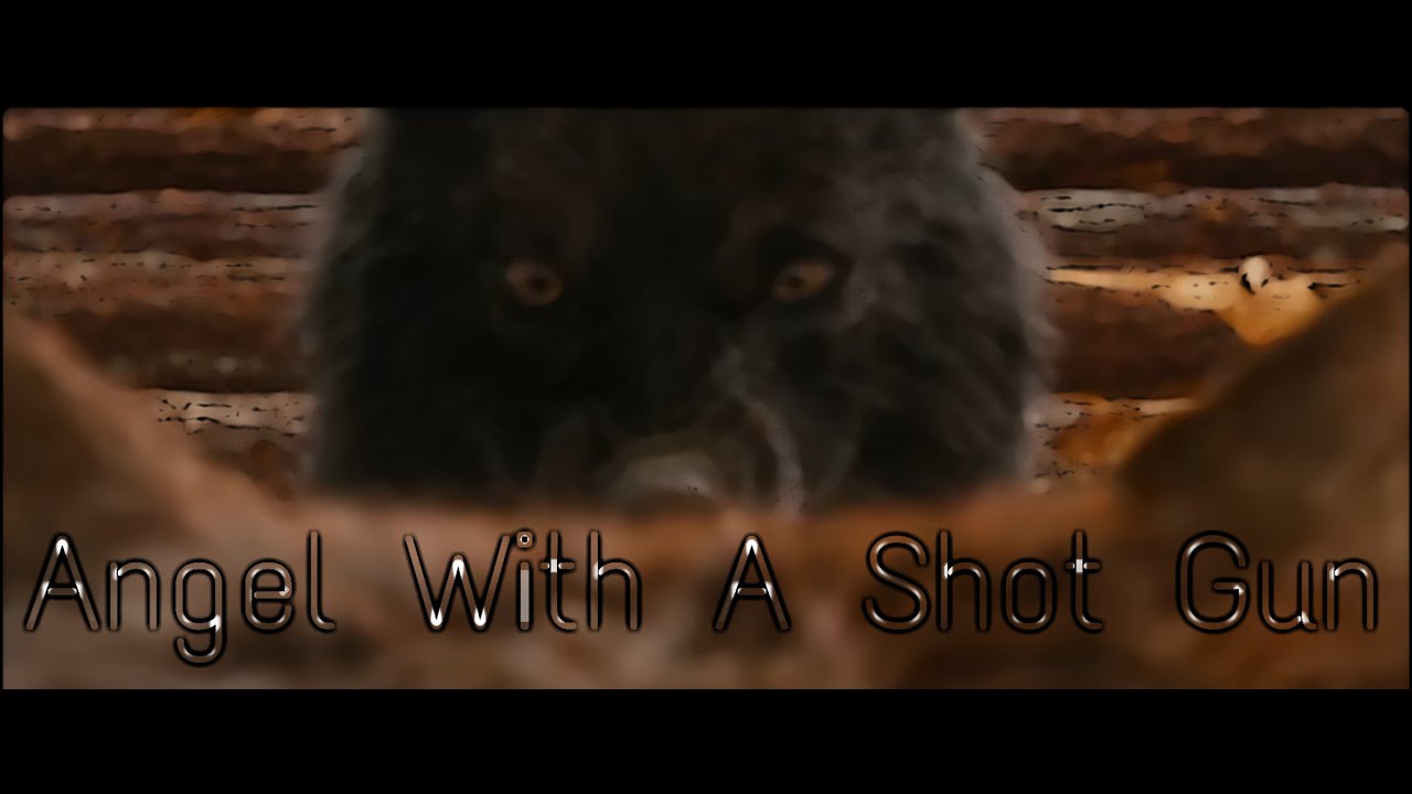 Twilight Wolves - Angel With A Shot Gun
