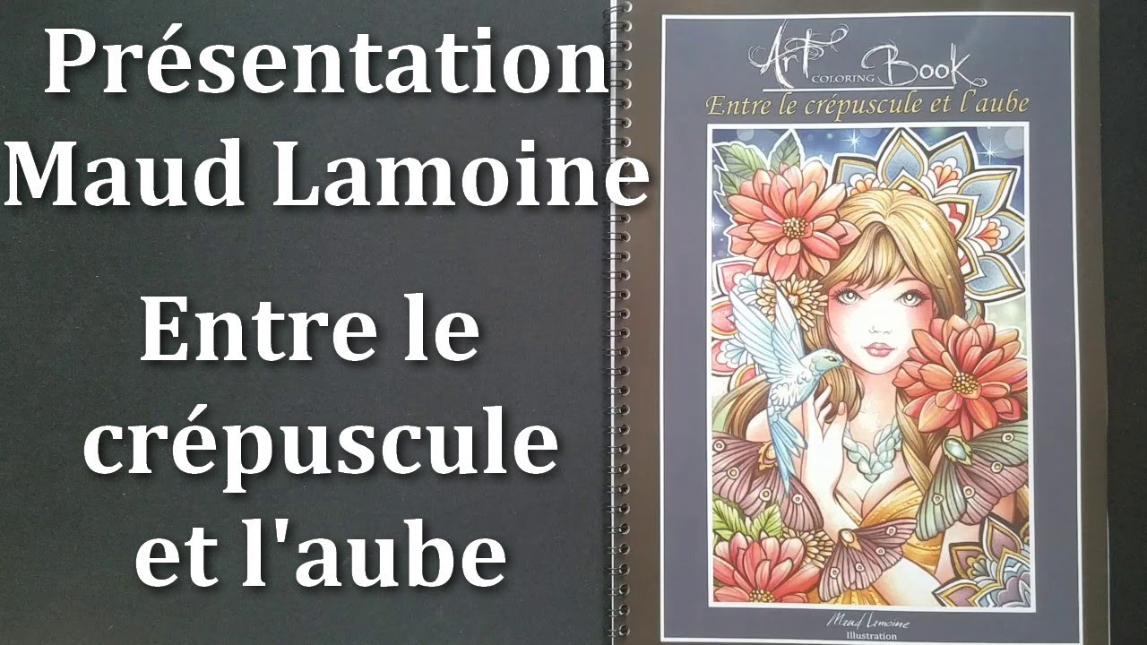 flip through pr&eacute;sentation Maud lamoine Entre le cr&eacute;puscule et l'aube