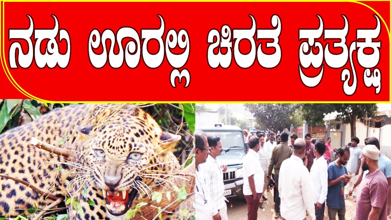 GADAG:ನಡು ಊರಲ್ಲಿ ಚಿರತೆ ಪ್ರತ್ಯಕ್ಷ| RISE OF NEWS
