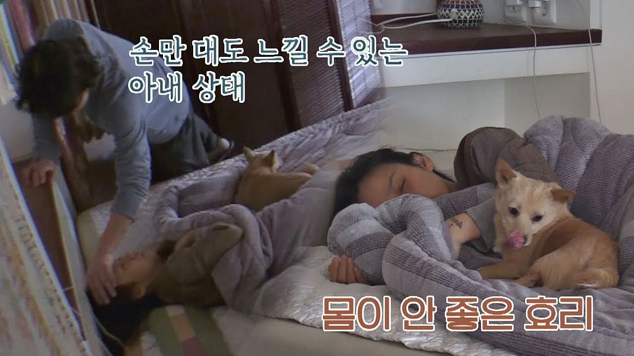 (달달) 이상순의 '아내' 효리 사랑법♥ 손만 대도 알 수 있어~ 효리네 민박2 3회