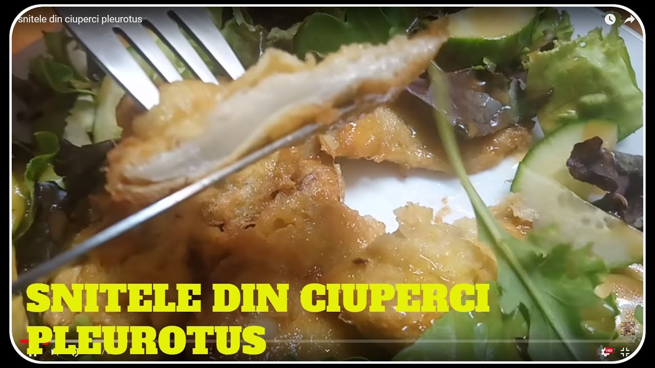 Snitele din ciuperci pleurotus un gust asemanator cu snitele din piept de pui.