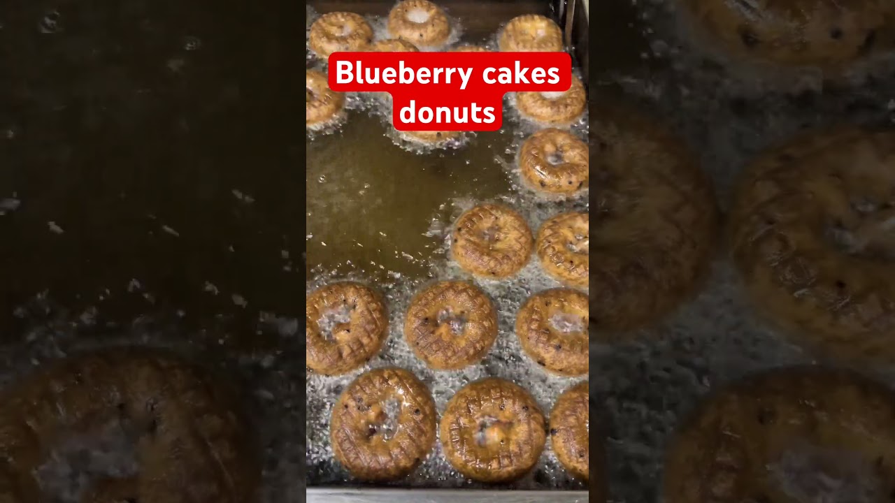 Blueberry cake donuts 