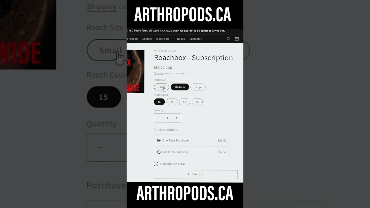 Roachbox - My Canadian roach delivery service