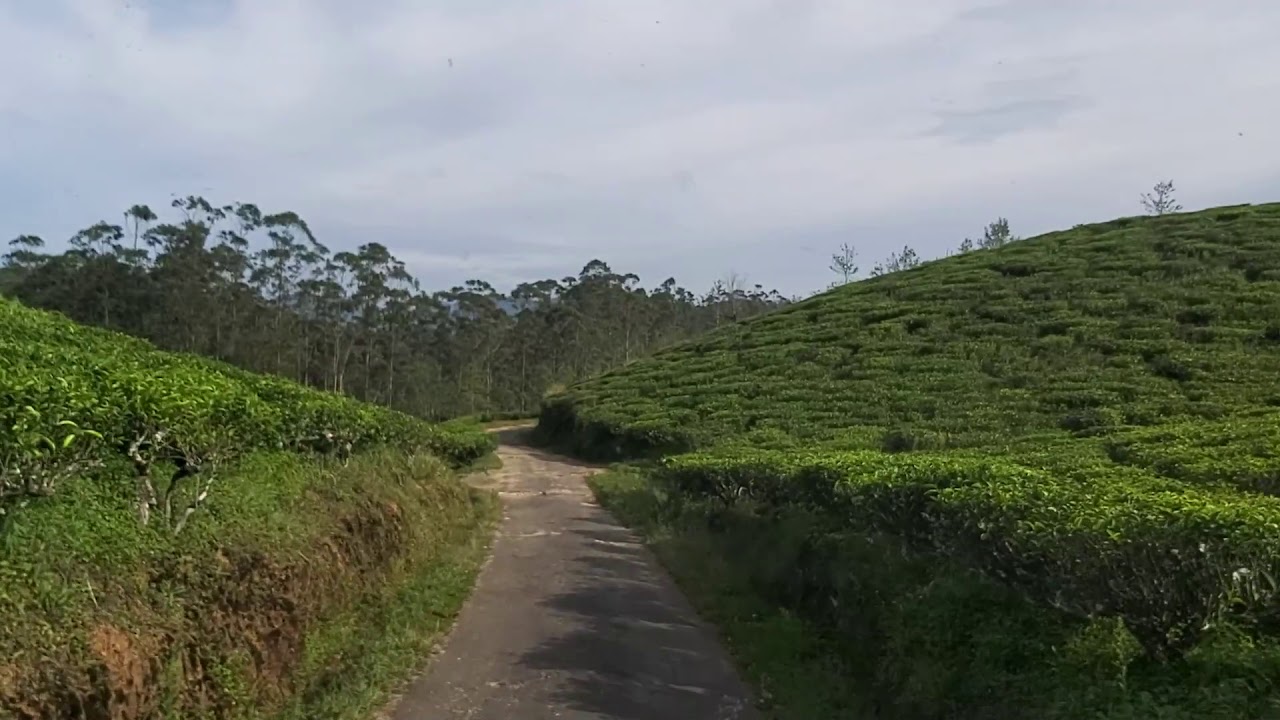 Manjolai | Nallumukku to Oothu | Bus View