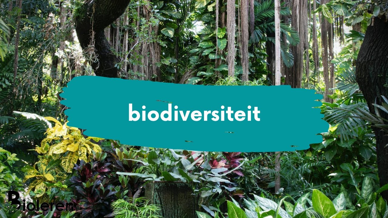 Bioleren - Biodiversiteit
