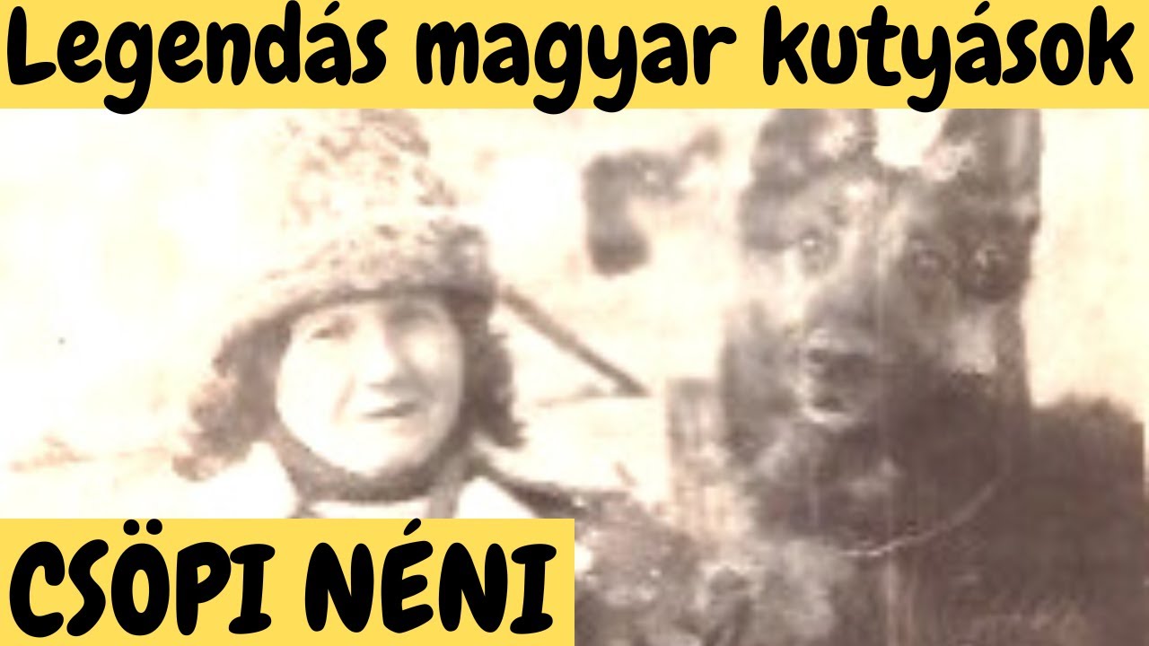 Csöpi Néni - az első profi magyar kutyás NŐ!
