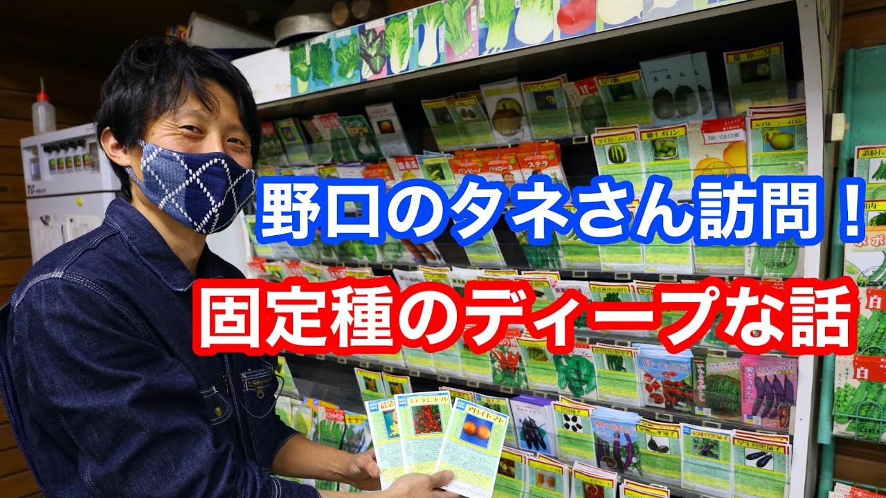 【お店訪問！】野口のタネさん再訪問！固定種、無肥料種子や地元産のタネなど、ちょっとマニアックなお話
