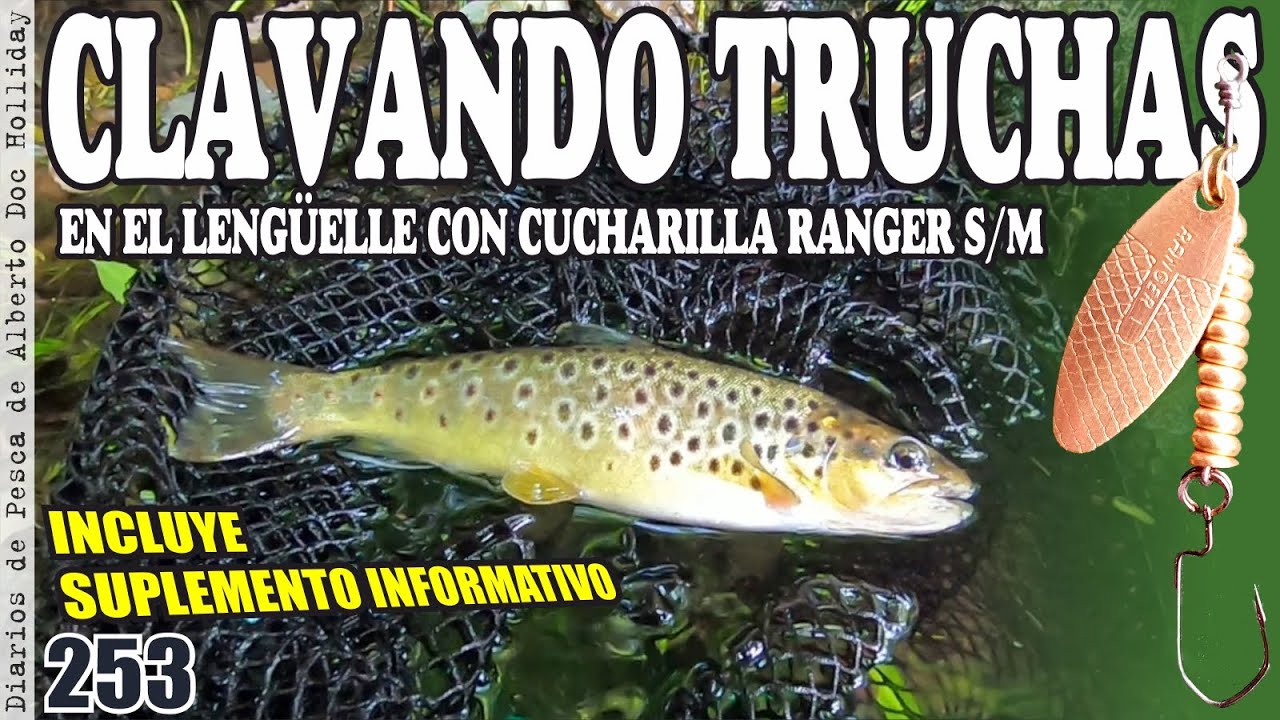 CLAVANDO TRUCHAS EN EL LENGÜELLE CON CUCHARILLA 
