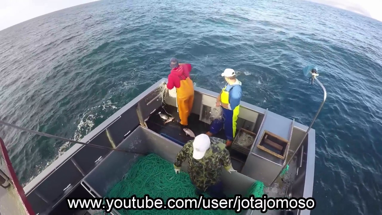 Fishing video,pesca de palangre de fundo Açores / Longline fishing in  Azores islands.فيديو الصيد