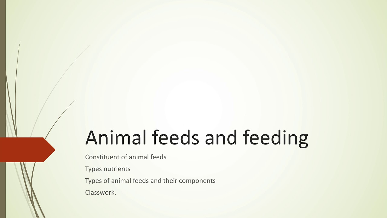 Agricultural science: Animal feeds feeding for Jss1 and 2 by Mr Oladipo