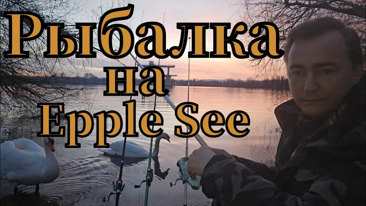 Активная рыбалка🎣 на Epple See клюнула ПЛОТВА #РЫБАЛКА #angeln #fishing #pêche #pescado #see #ПЛОТВА