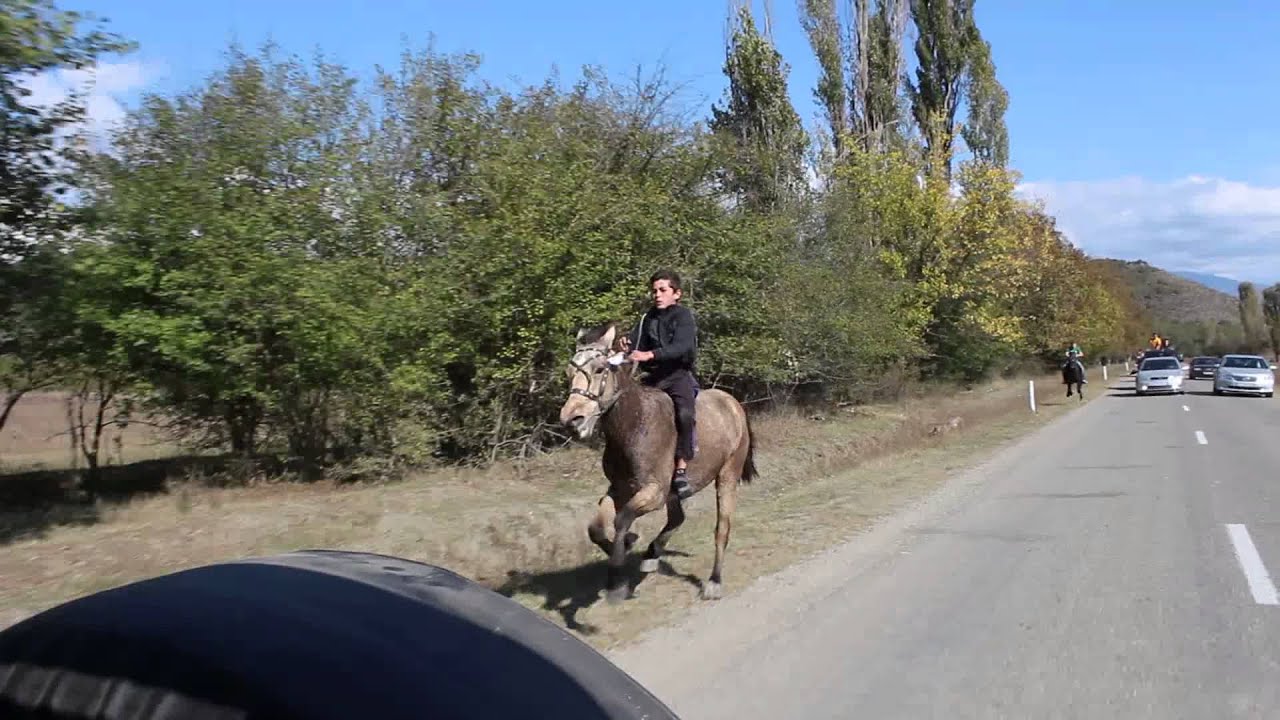 ქვემო ალვანი - ყემე გივიას დოღი -  2013