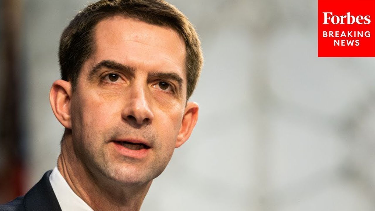 Tom Cotton Warns Critical Race Theory 