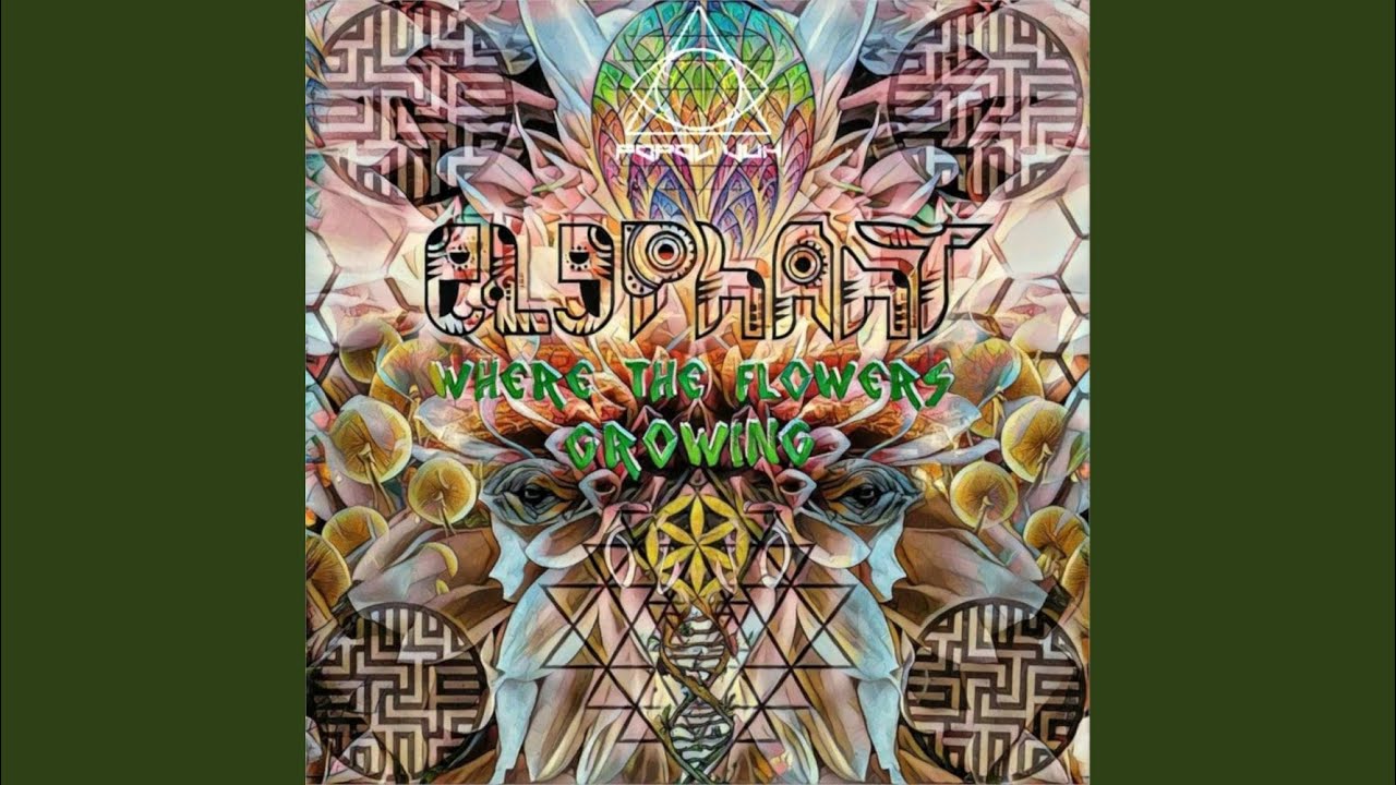 Birthday Of The Sun (Original Mix)