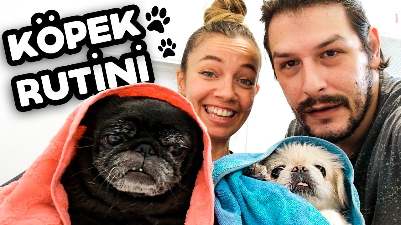 KÖPEKLERLE BİRLİKTE YIKANDIK!  VLOG