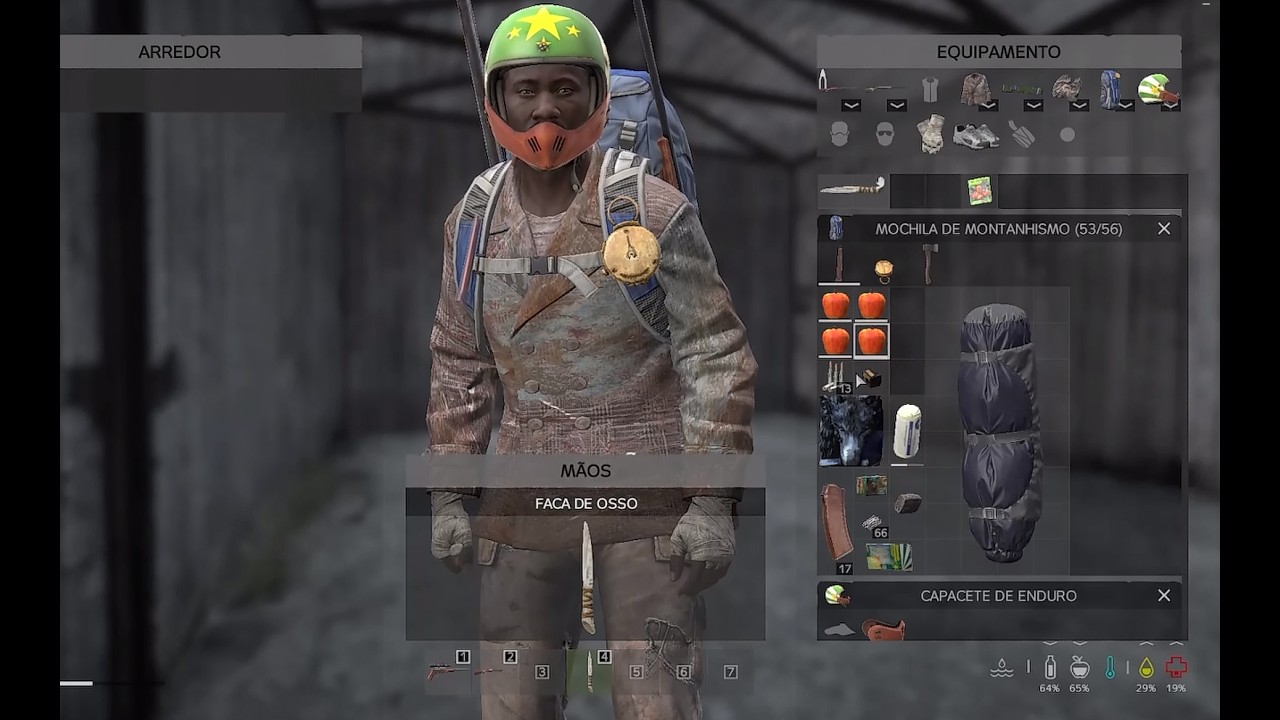 DayZ - coleção da zueira