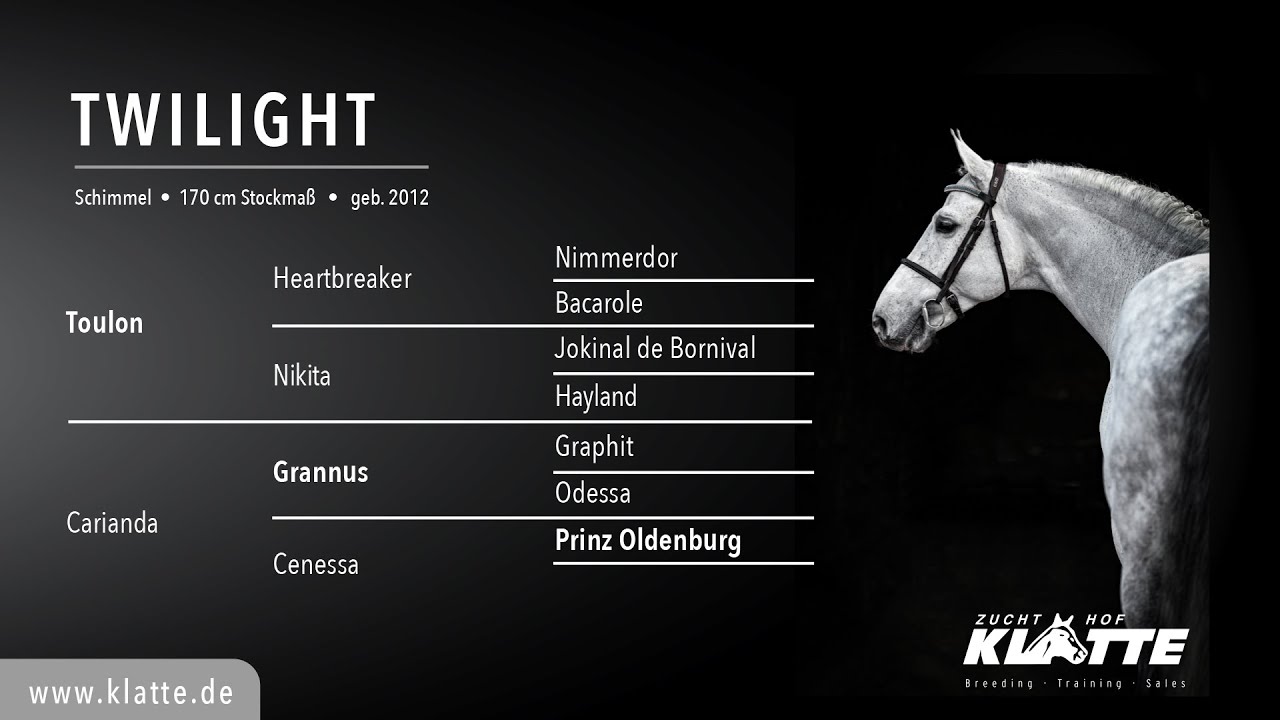 TWILIGHT v. Toulon x Grannus x Prinz Oldenburg - Hengste 2021 - www.klatte.de