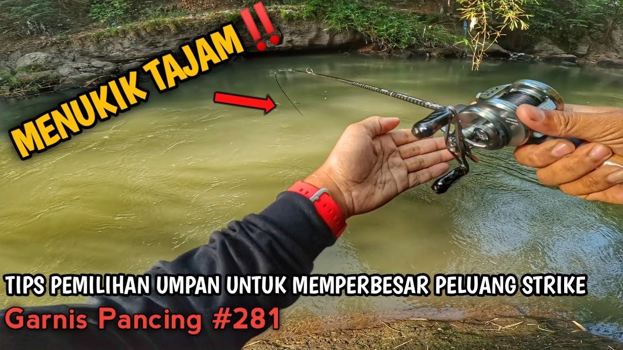BEGINI HASILNYA KALAU KETEMU SPOT PER4WAN TAK TERJAMAH😱DAR💥DOR💥LHERR‼️Casting Hampala Umpan TopWater