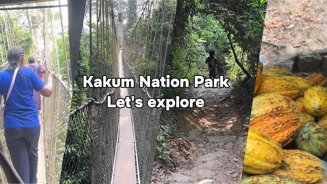 Part 2 / Explore Kakum Forest, Ghana, With Us / Canopy Walk / Left On Our Own Through The Forest