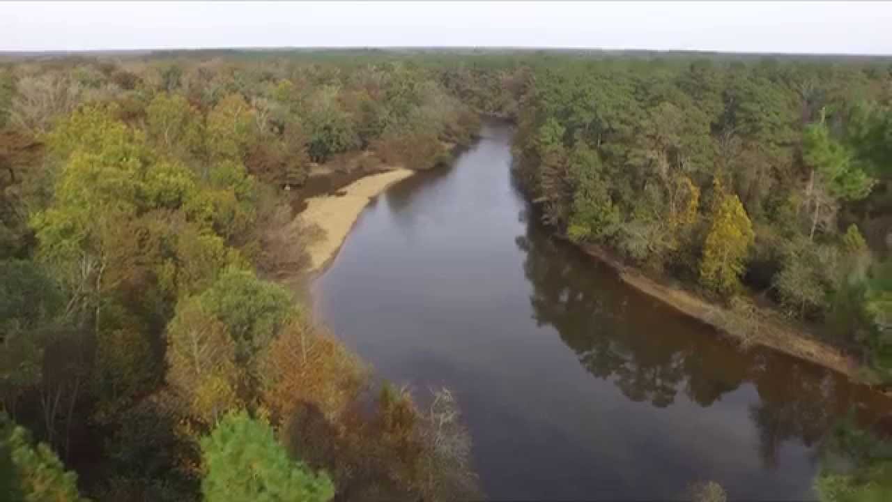 Cliffs of the Neuse