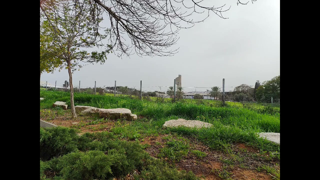 שמח נפש (גירסא סתם רק לרישום)