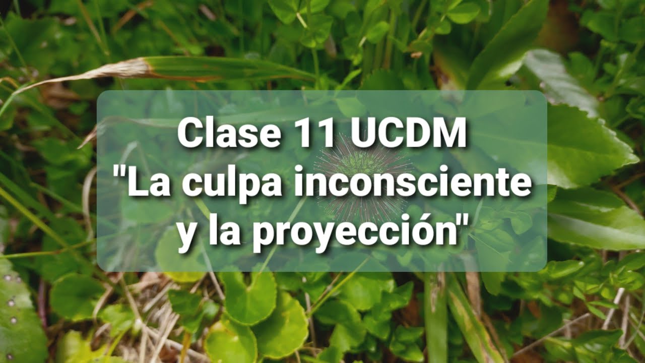 Clase 11 