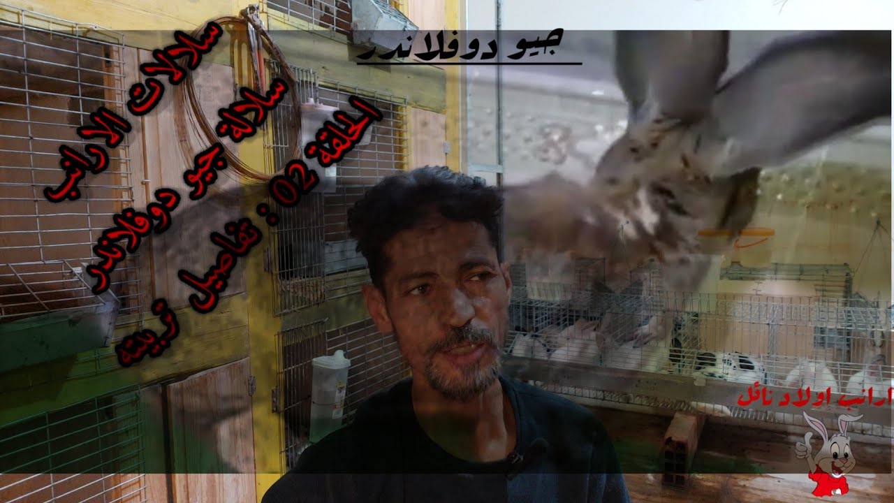 سلالة جيو دوفلاندر . الحلقة 02 : تفاصيل تربيته