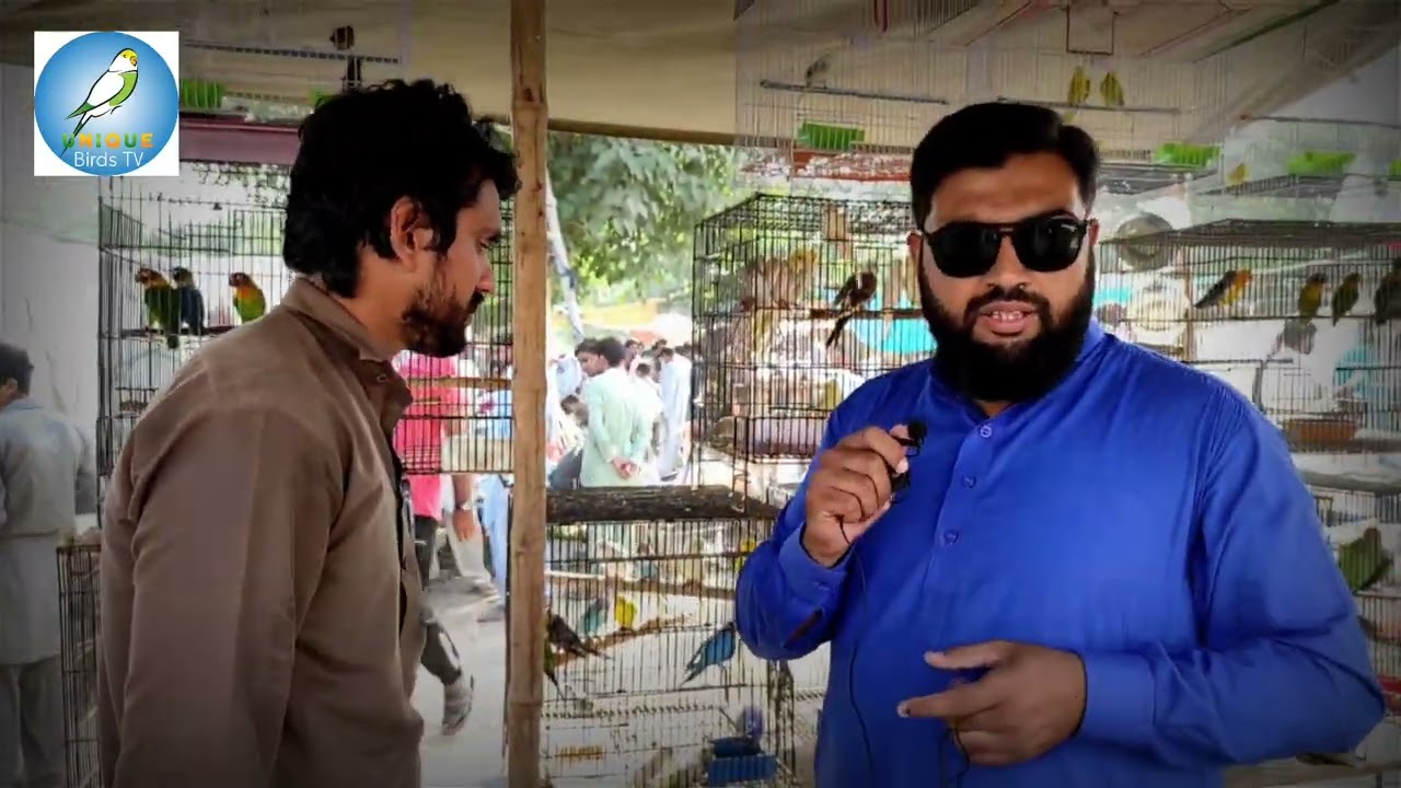 Sunday Birds Market Wah Cantt