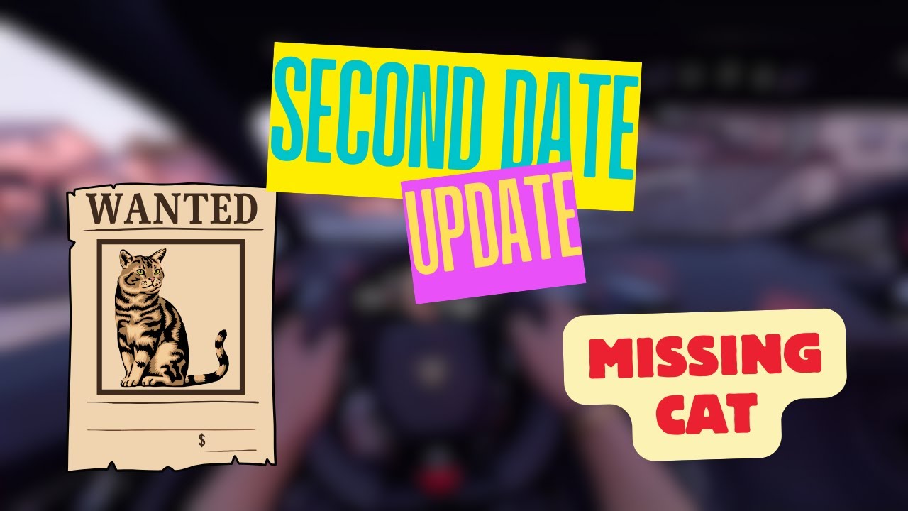 Second Date Update | Missing Cat (Rachel & Josh)
