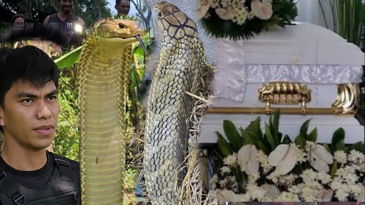 P4TAY ANG TATLONG TA0  SA ATAKI NG  MGA KING COBRA