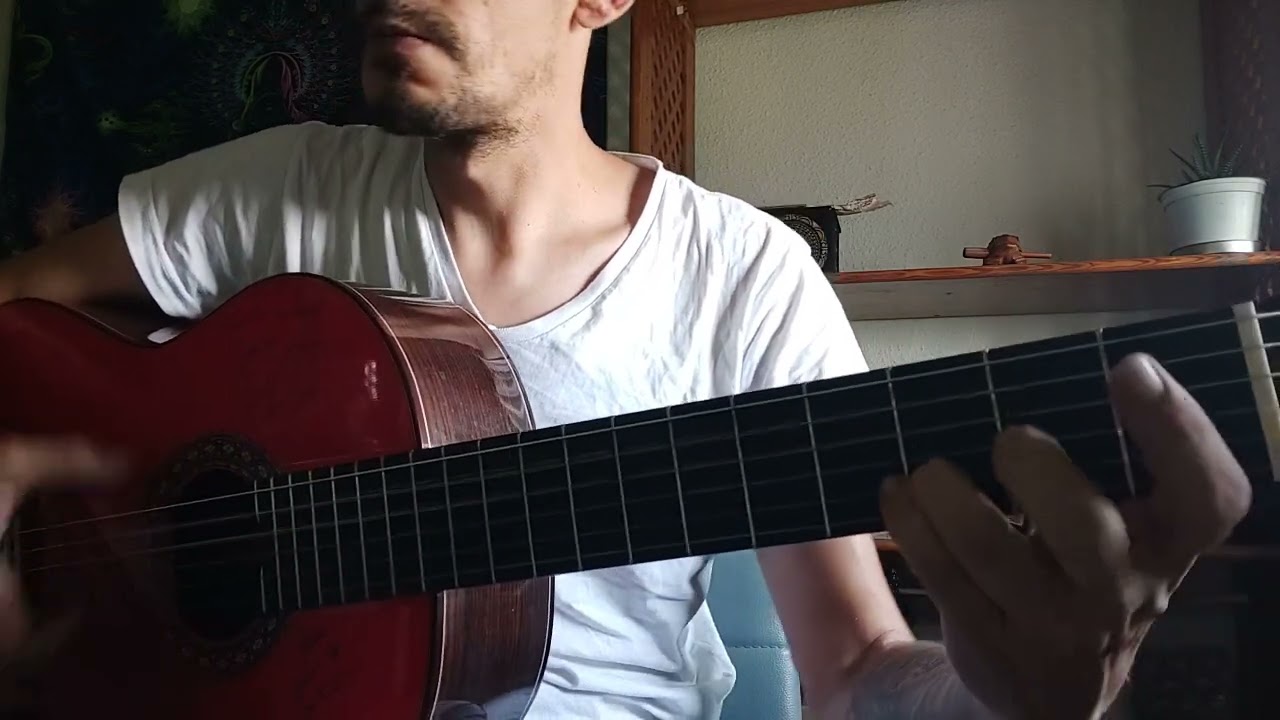 la Piedra redonda El ultimo de la fila cover la serrania guitarras