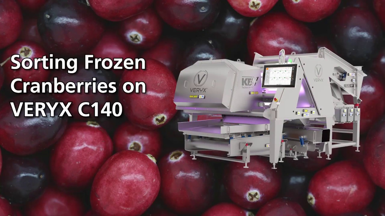 Frozen Cranberries on VERYX C140