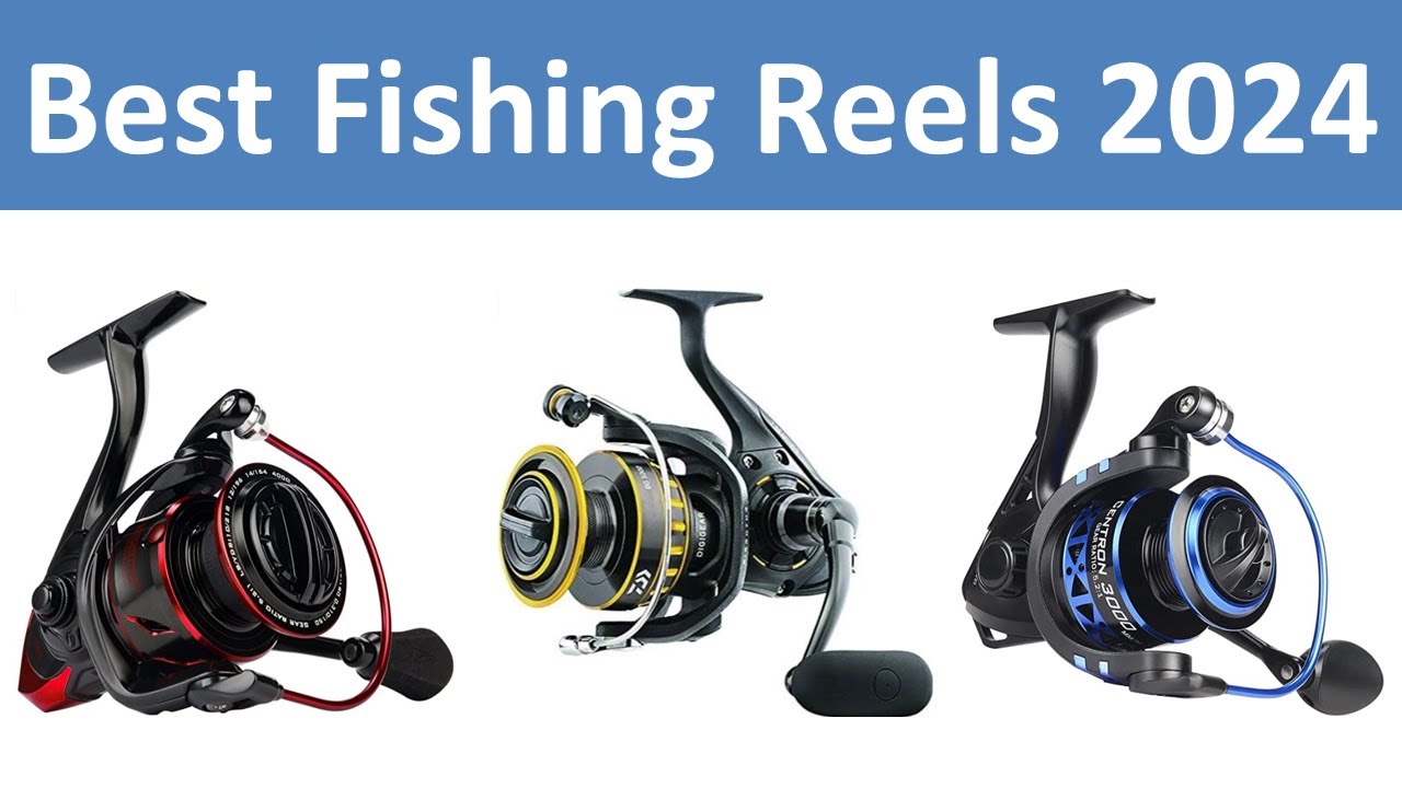 Top 10 Best Fishing Reels in 2024