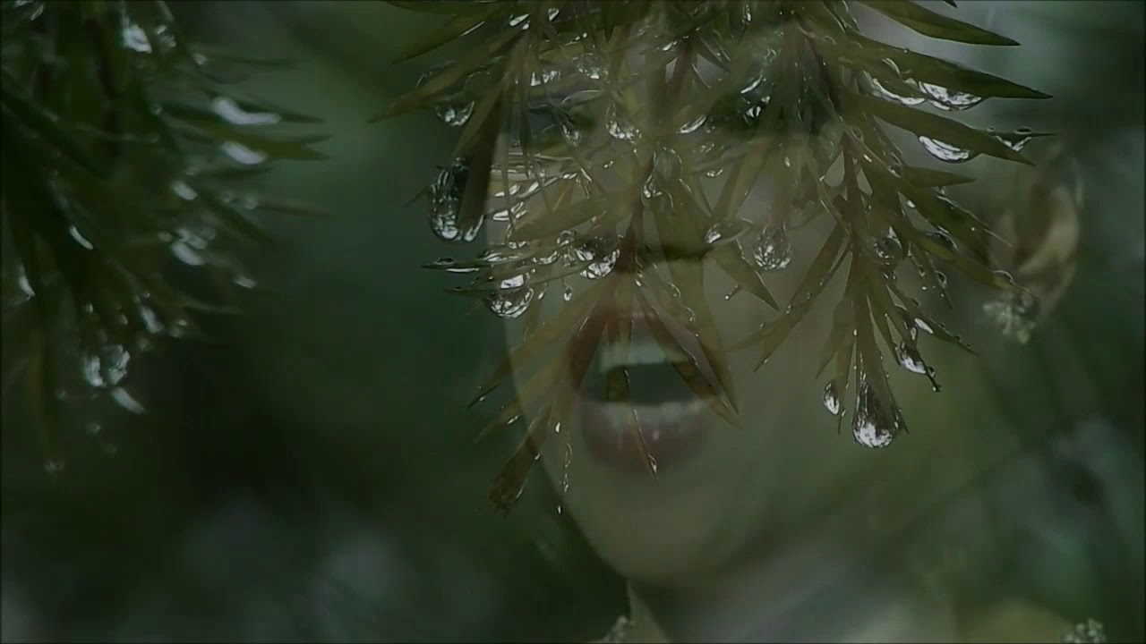 Sumi Jo  / Caccini Vladimir Vavilov  / Ave Maria   / 2008