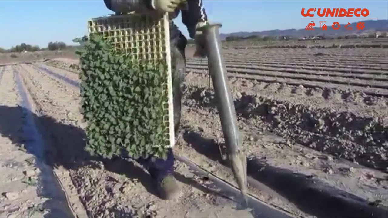 Sembradoras de Pl&aacute;ntulas
