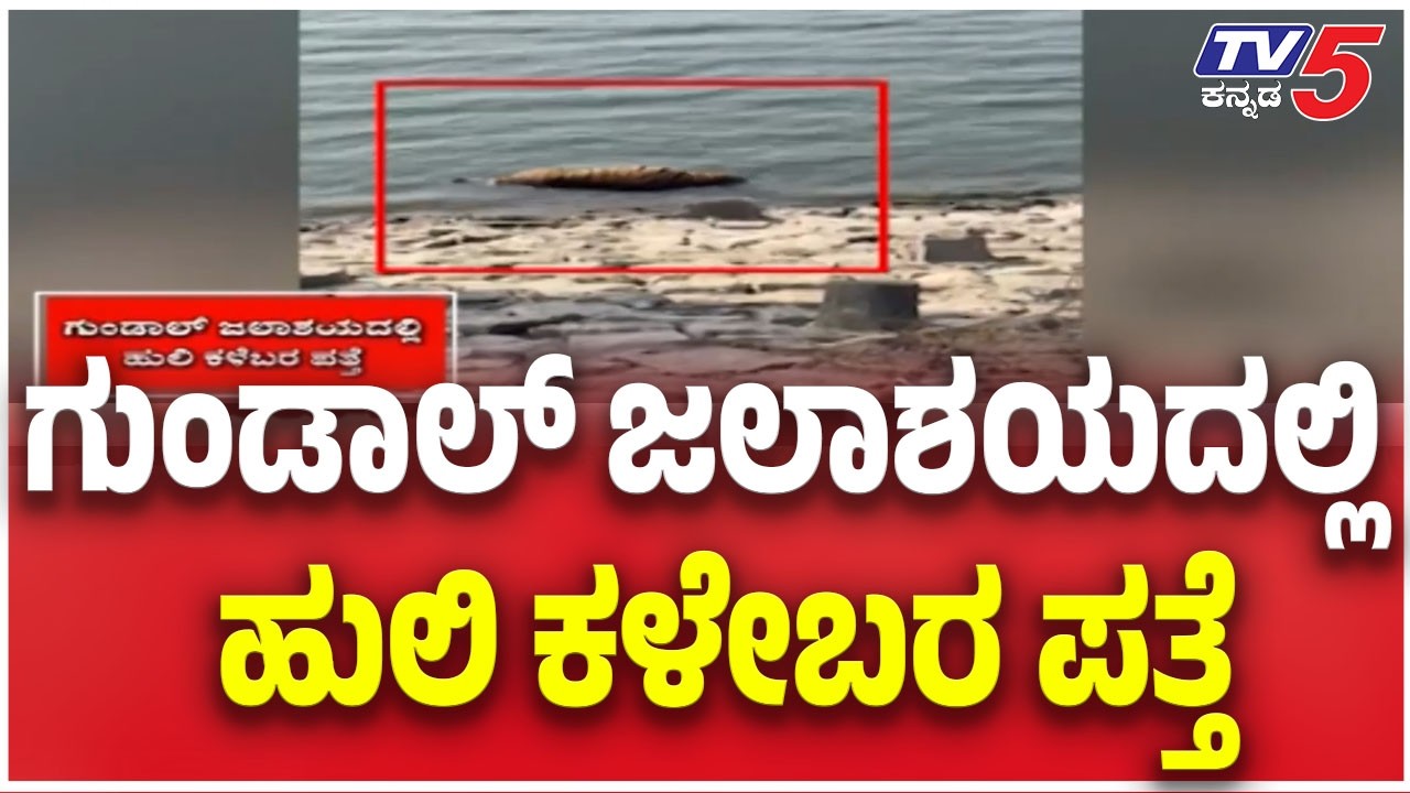 Tiger Carcass Found Floating In Gundal dam: ಗುಂಡಾಲ್ ಜಲಾಶಯದಲ್ಲಿ ಹುಲಿ ಕಳೇಬರ ಪತ್ತೆ