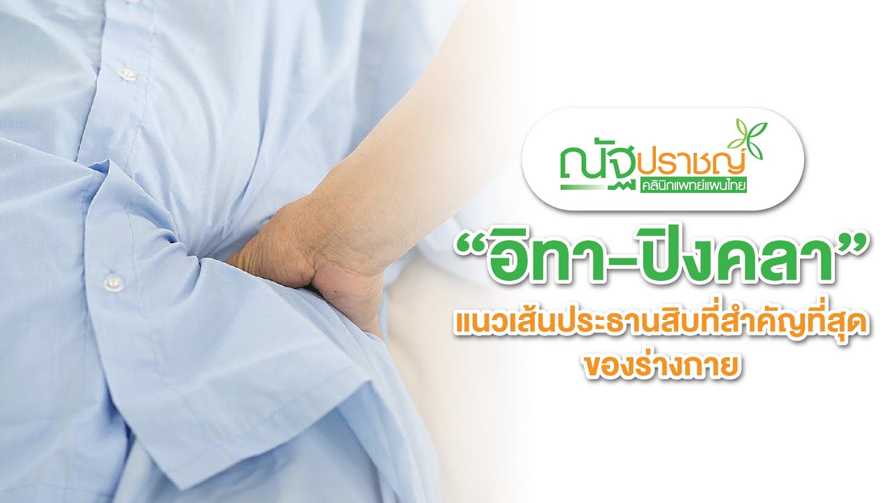 EP.02 อิทา-ปิงคลา แนวเส้นประธานสิบที่สำคัญที่สุดของร่างกาย