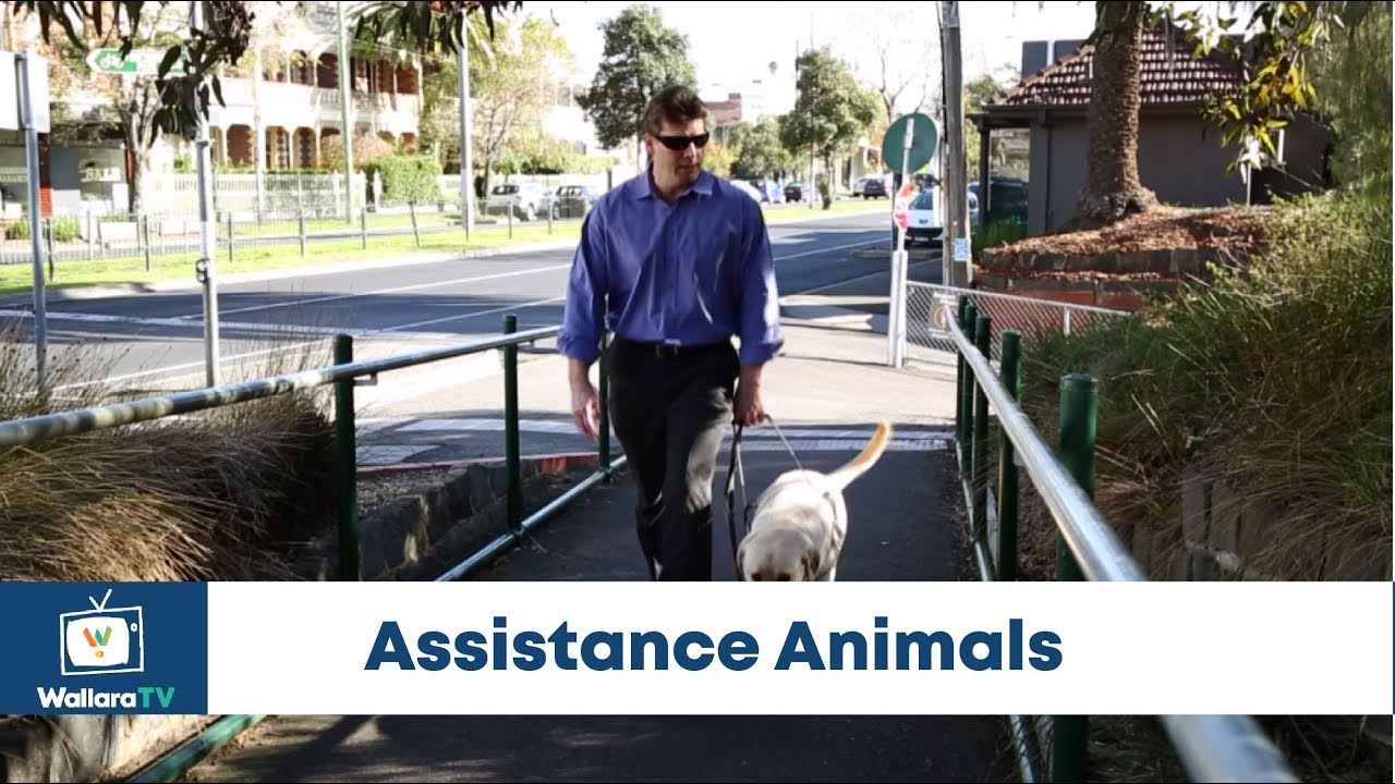 Assistance Animals