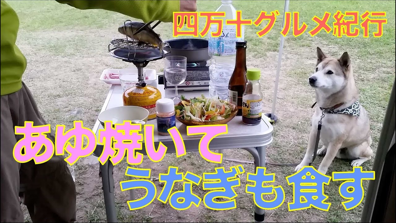 【わんこと車中泊】春の高知を満喫！後編〜初めてのキャンプサイトと四万十川ダウンリバー〜